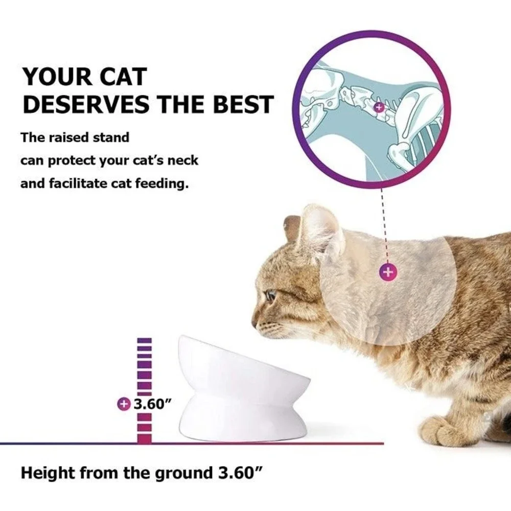 Cat Bowl Anti Vomiting, Raised Cat Food Bowls, Tilted Elevated Cat Bowl